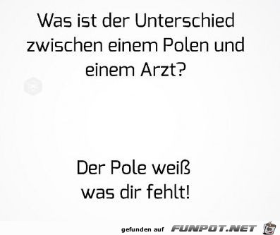 Ploe vs Arzt