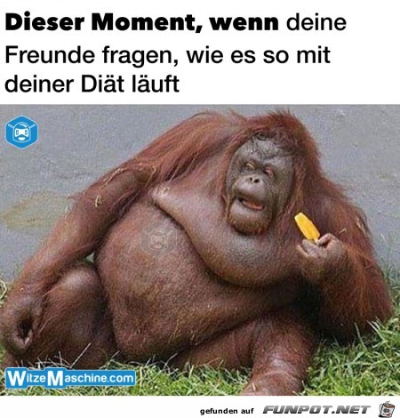 deine diaet