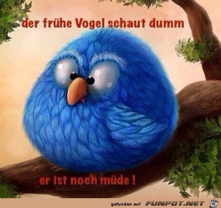 Früher Vogel Früher Vogel