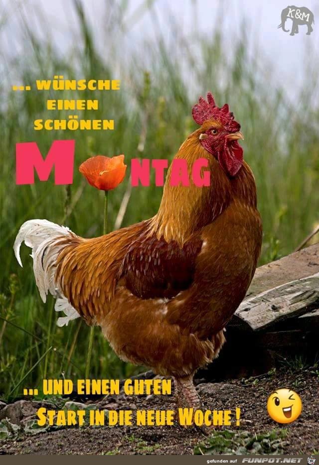 Montag 