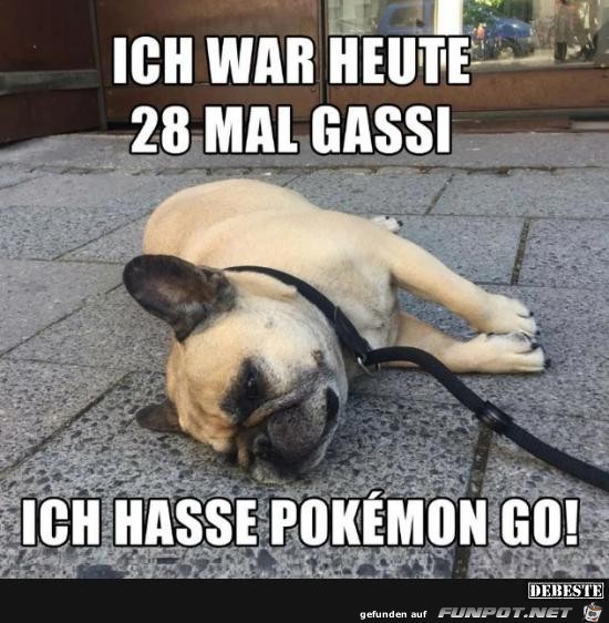Pokemon Pokemon