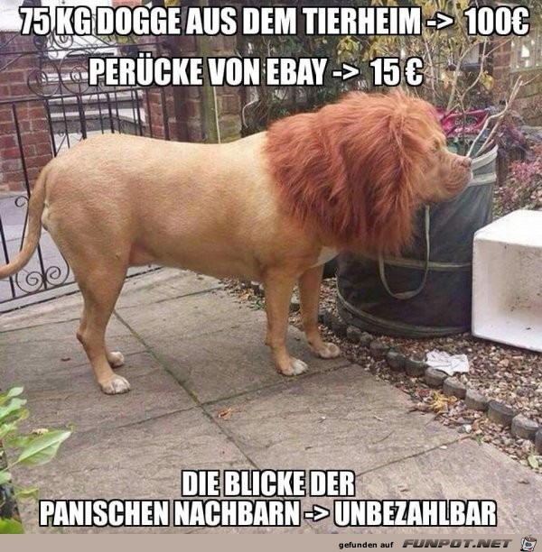Gute Idee Gute Idee