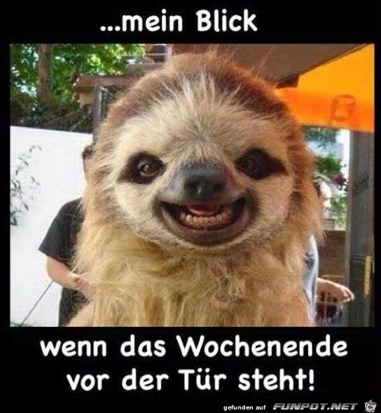 mein blick