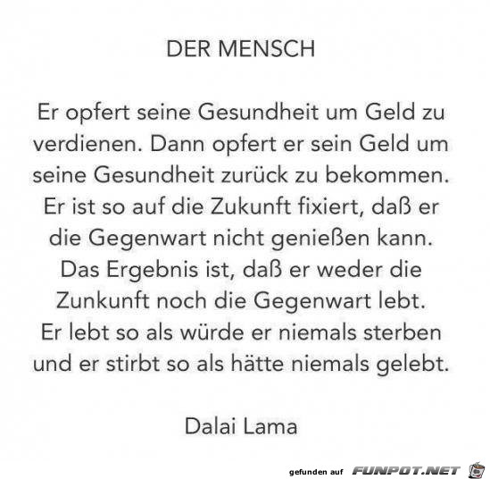 Der Mensch Der Mensch
