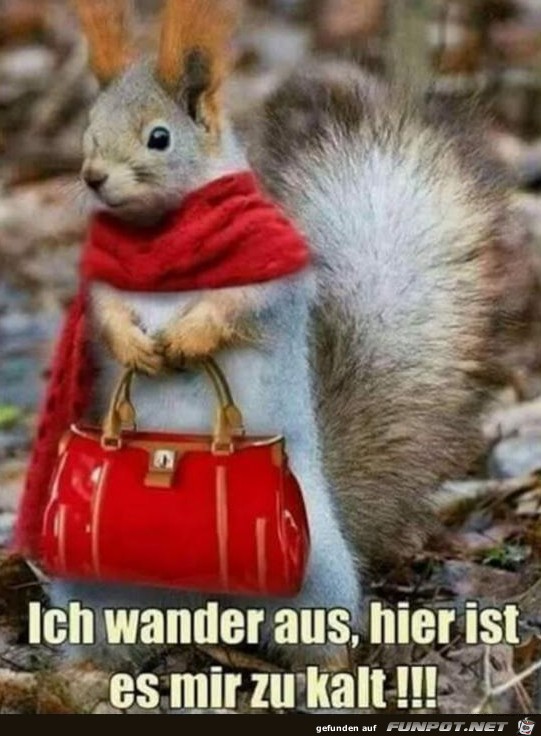 Ich wander aus