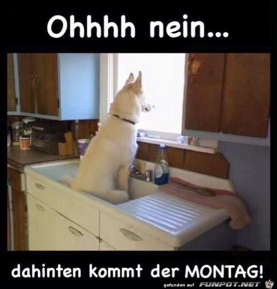 Ohhhhh nein...... Ohhhhh nein......