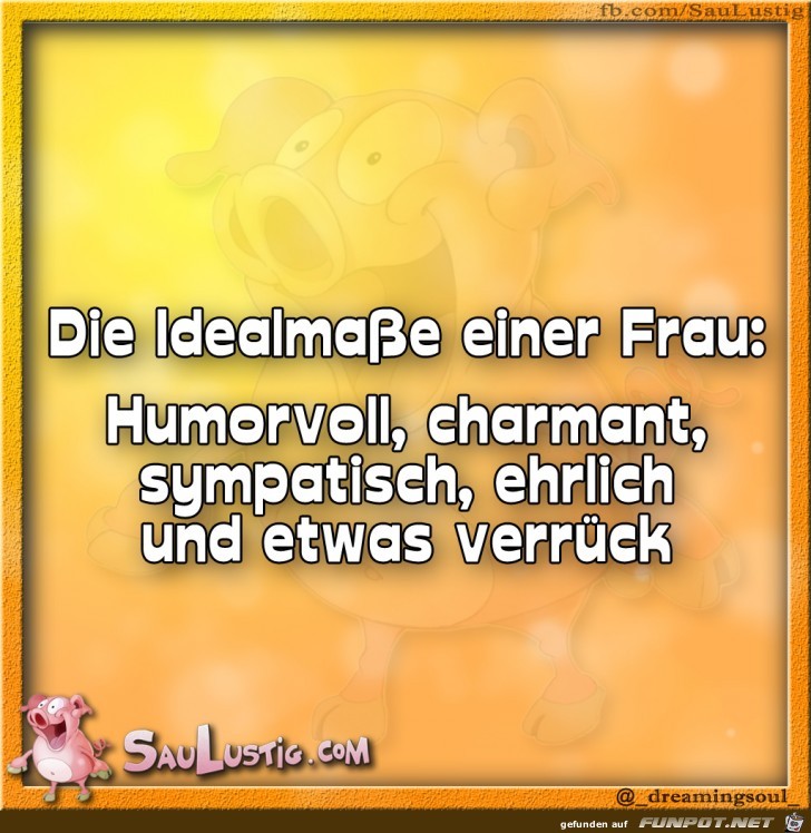 Die-Idealmae-einer-Frau