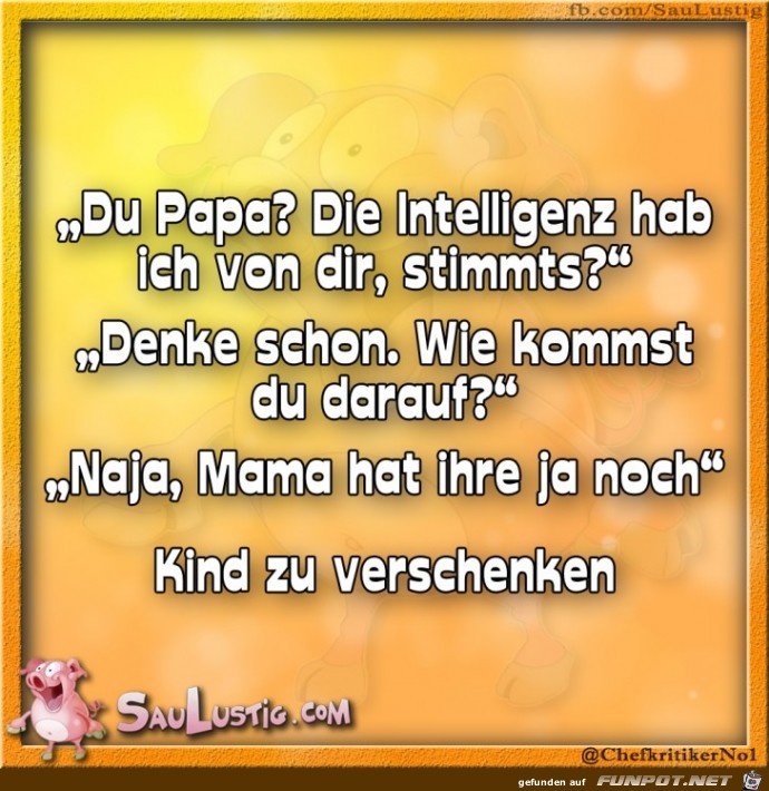 Die-Intelligenz-habe-ich-von-dir