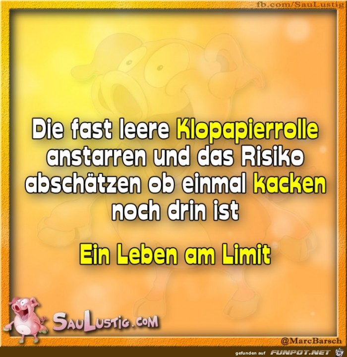 Eine-fast-leere-Klopapierrolle-anstarren Eine-fast-leere-Klopapierrolle-anstarren