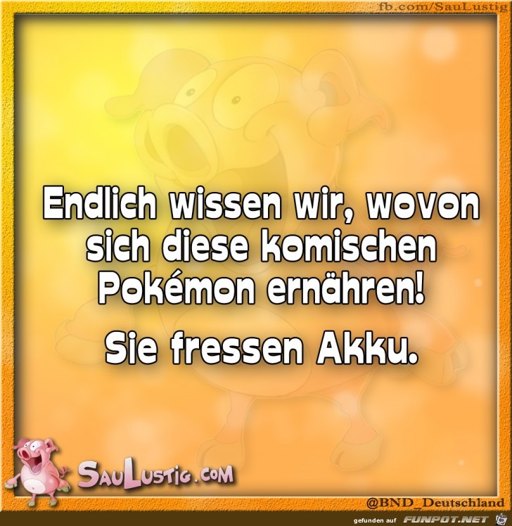 Endlich-wissen-wir -wie-die-dich-ernaehren Endlich-wissen-wir -wie-die-dich-ernaehren