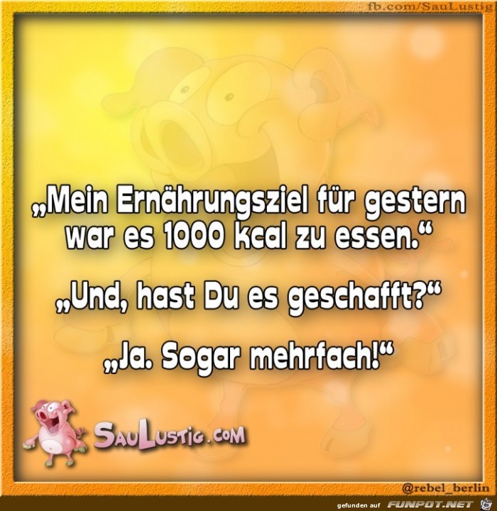 Mein-Ernaehrungsziel-fuer-gestern Mein-Ernaehrungsziel-fuer-gestern