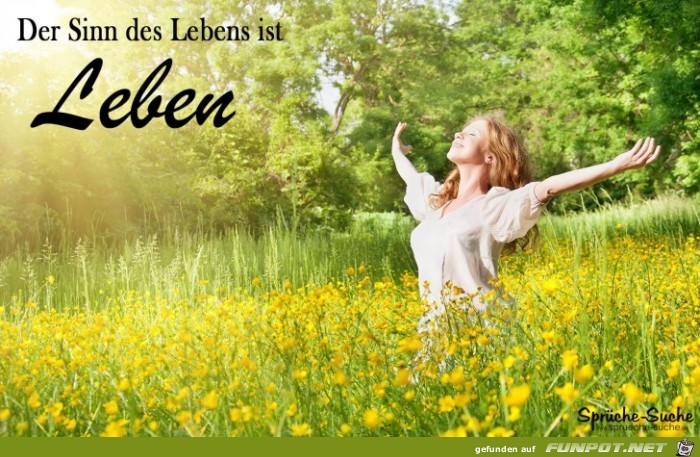 der-sinn-des-lebens.....