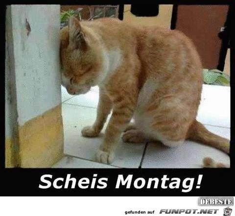 scheiß Montag scheiß Montag