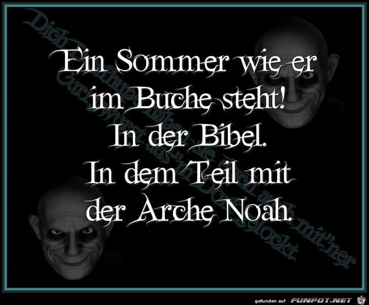 Ein Sommer wie er im Buche steht... Ein Sommer wie er im Buche steht...