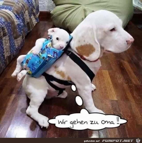 wir gehen zu Oma.... wir gehen zu Oma....