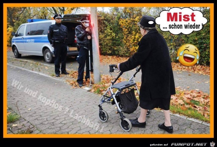 Schon wieder Schon wieder
