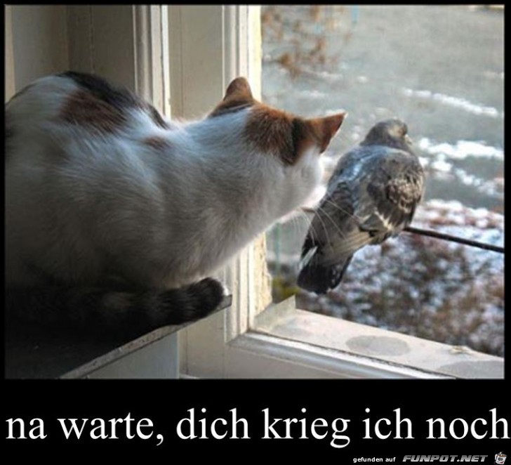 na warte na warte