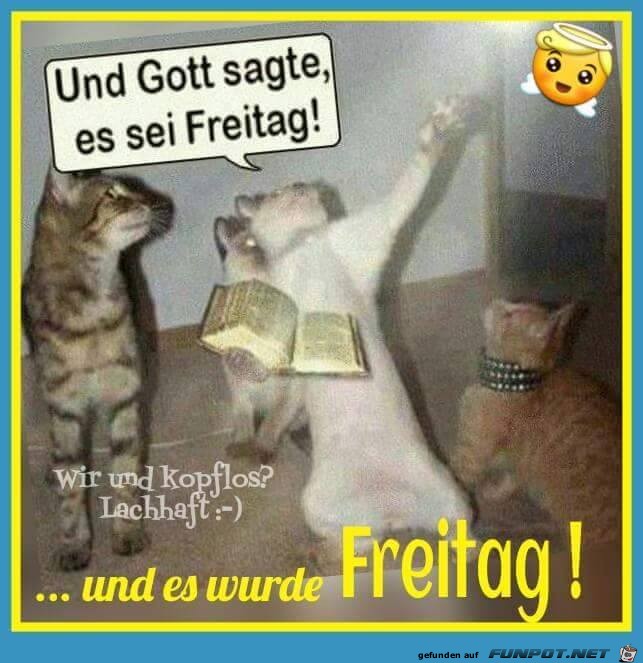 Gott sagte Gott sagte