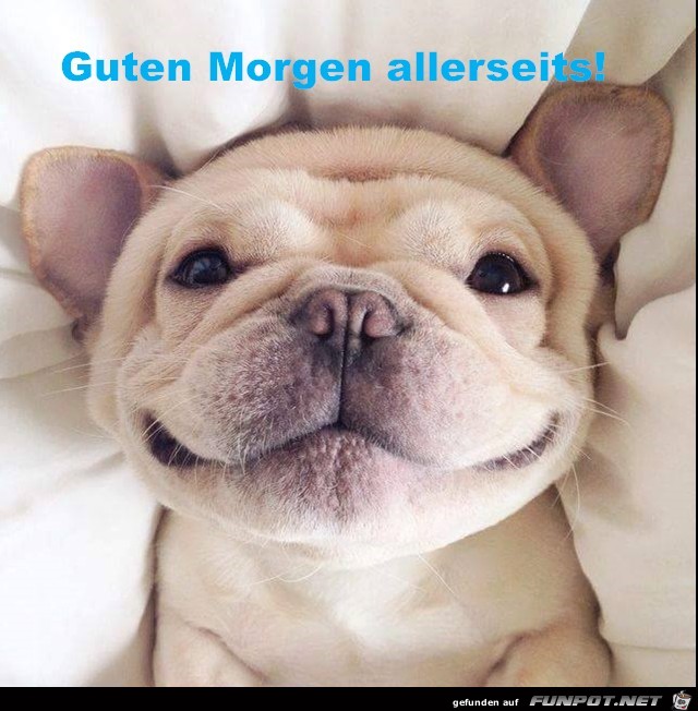 Guten Morgen