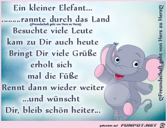 Ein kleiner Elefant