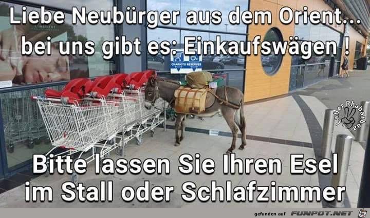 Einkaufswagen