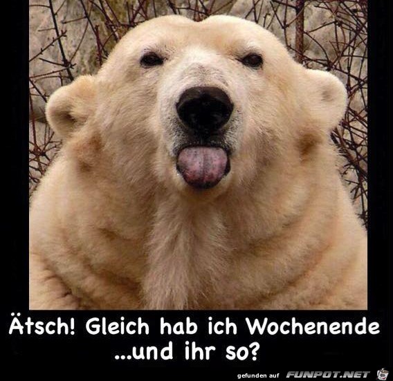 tsch, gleich habe ich Wochenende...