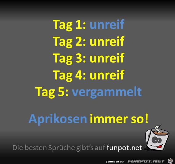 Aprikosen Aprikosen