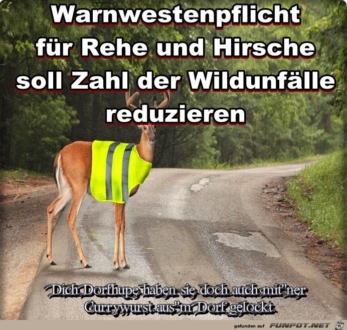 Warnwestenpflicht