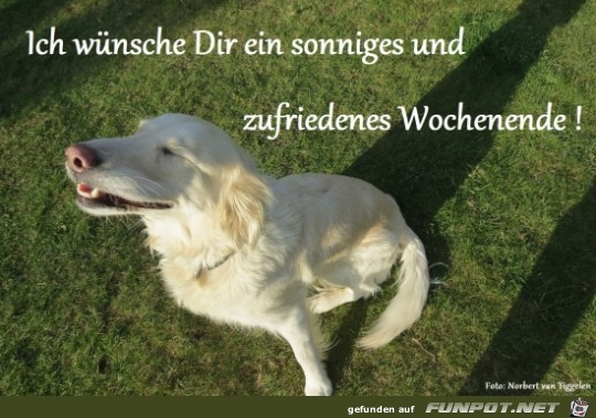 sonniges zufriedenes we sonniges zufriedenes we