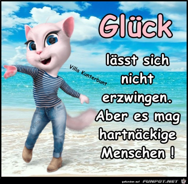 Glueck Glueck