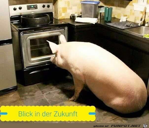 Blick in die Zukunft Blick in die Zukunft