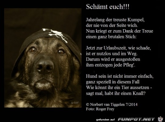 schmt euch....