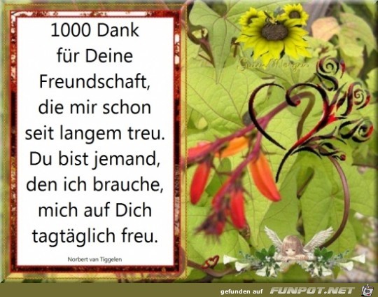 1000 dank fr deine freundschaft......