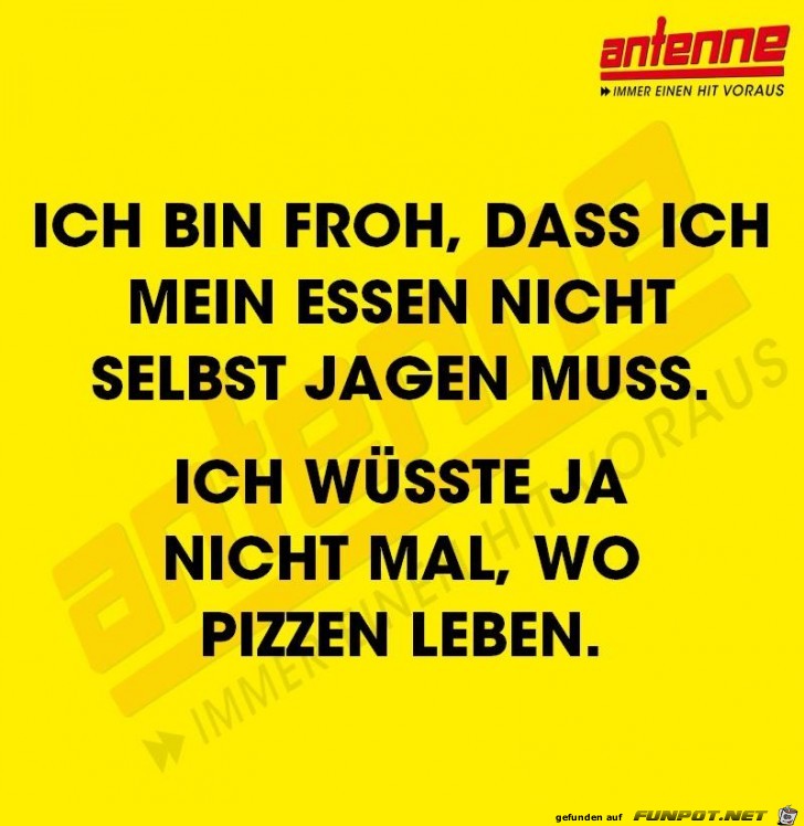 Ich bin froh Ich bin froh