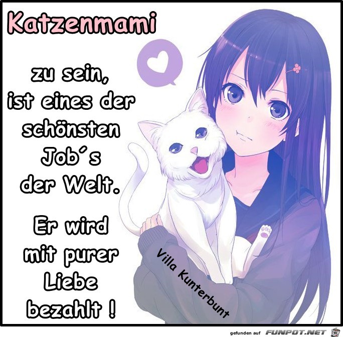 Katzenmami