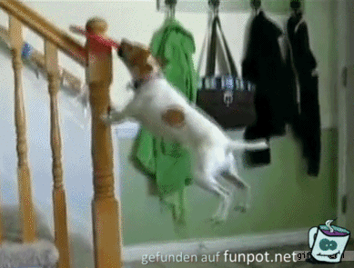 GIF Komm jetzt her GIF Komm jetzt her