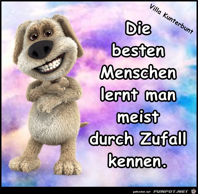 Die besten Menschen lernt man meist....