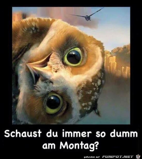 am Montag.......