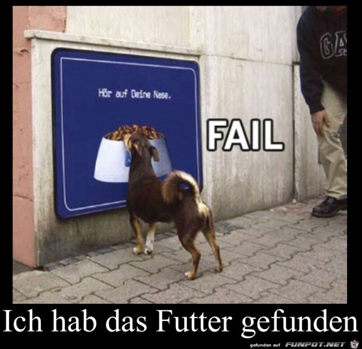 endlich Futter endlich Futter