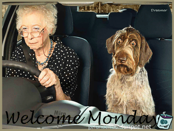 gif Montag gif Montag