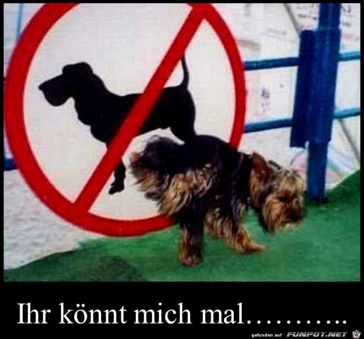 Ihr knnt mich mal.....