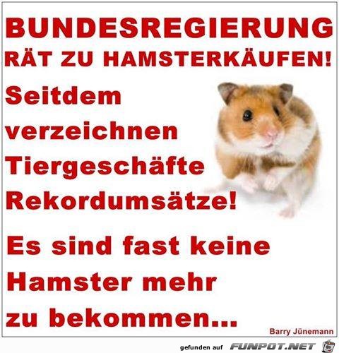 Hamstereinkaeufe 1 Hamstereinkaeufe 1