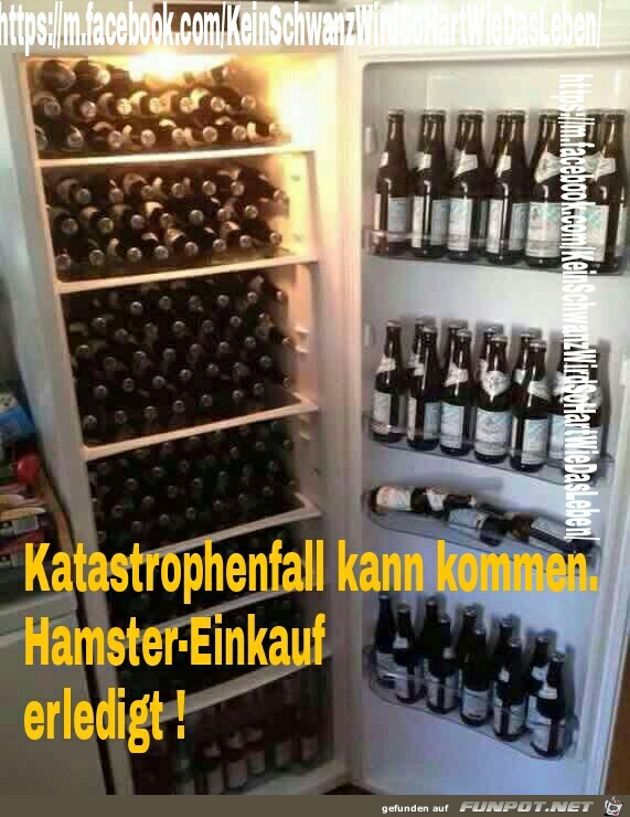 Hamstereinkaeufe 5 Hamstereinkaeufe 5