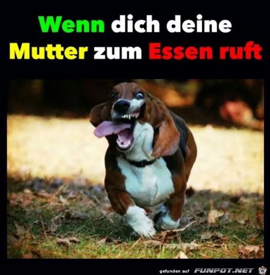 wenn Muttern ruft....