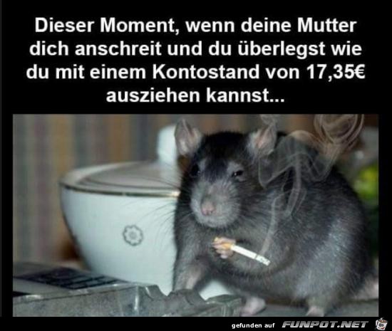 wenn Mutter schreit......