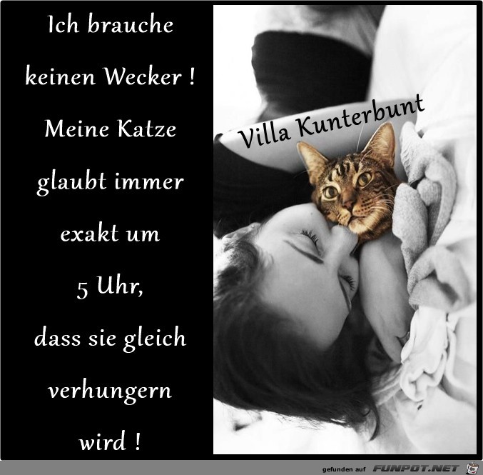 Brauche keinen Wecker Brauche keinen Wecker