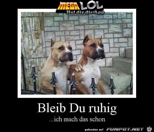 Bleib Du ruhig... Bleib Du ruhig...