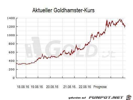 Aktueller Goldhamster-Kurs