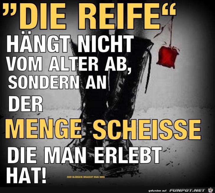 Die Reife