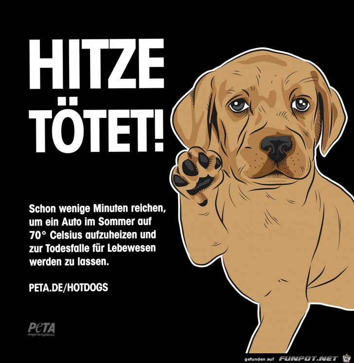 Hitze toetet!